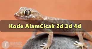 40+ Kode Alam Cicak 2D 3D 4D, Erek Erek